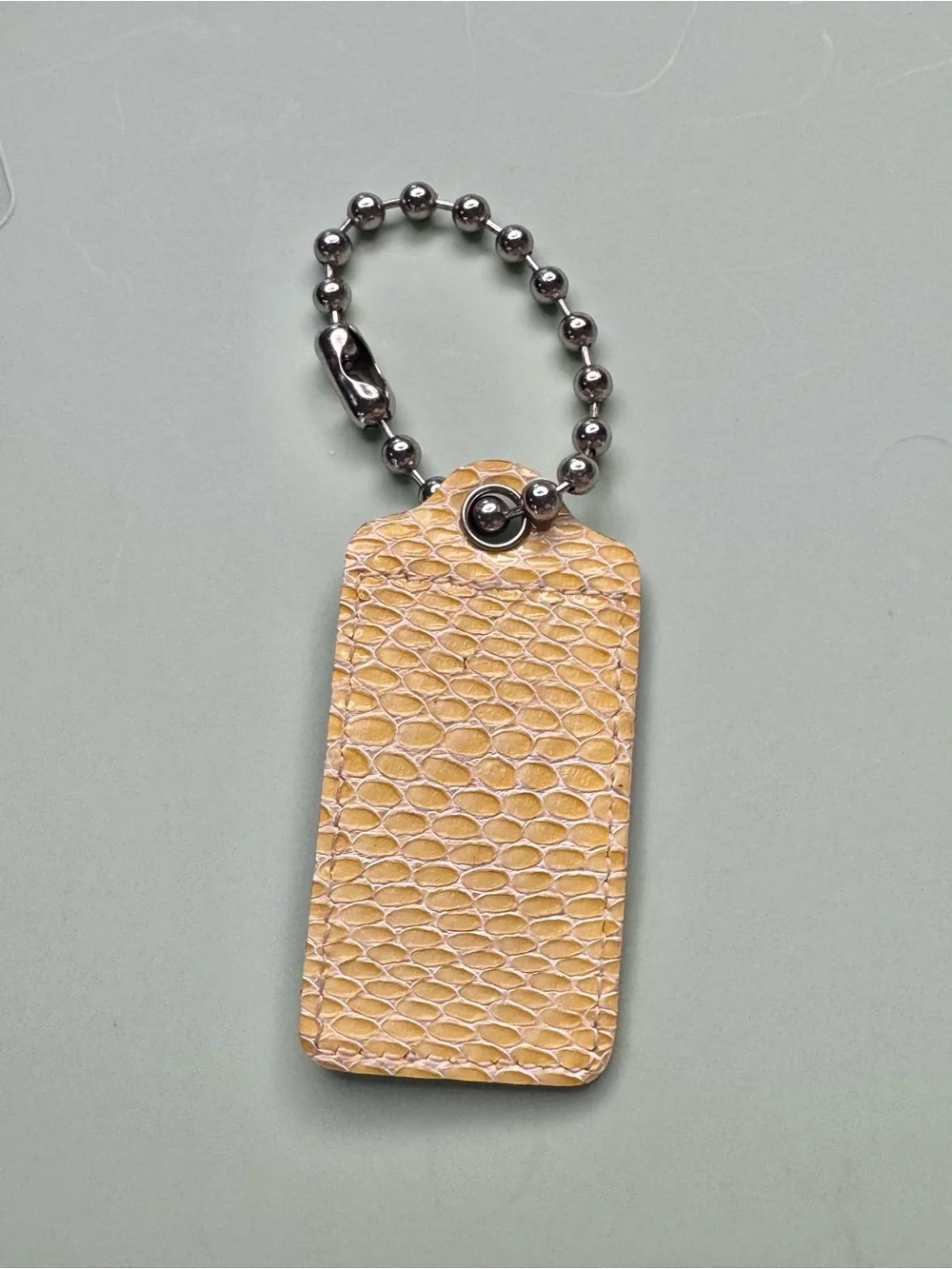 Coach Brooke Snakeskin details